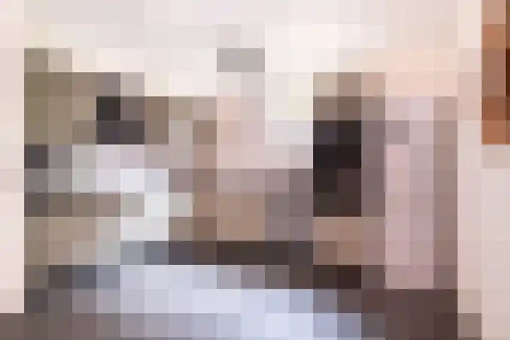 Lytse Buorren 22 Tzummarum thumbnail 20