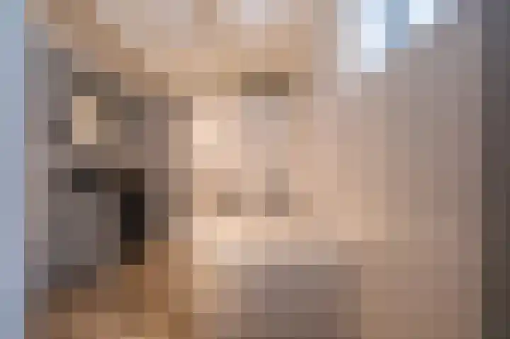 Lytse Buorren 22 Tzummarum thumbnail 23