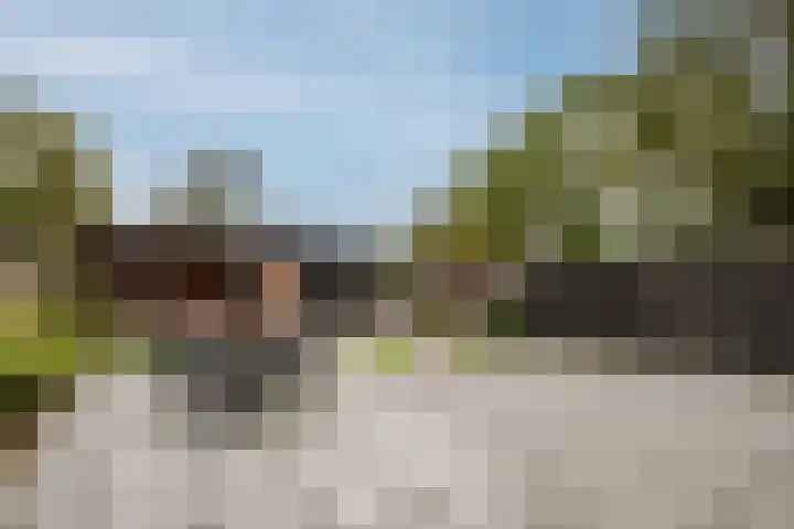 Lytse Buorren 22 Tzummarum thumbnail 43