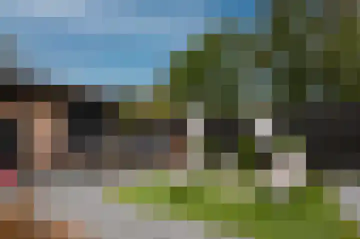 Lytse Buorren 22 Tzummarum thumbnail 47