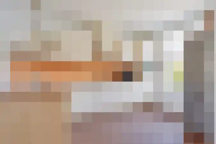 Lytse Buorren 25 Wjelsryp foto 3