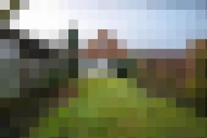 Lytse Buorren 5 Tzummarum thumbnail 10