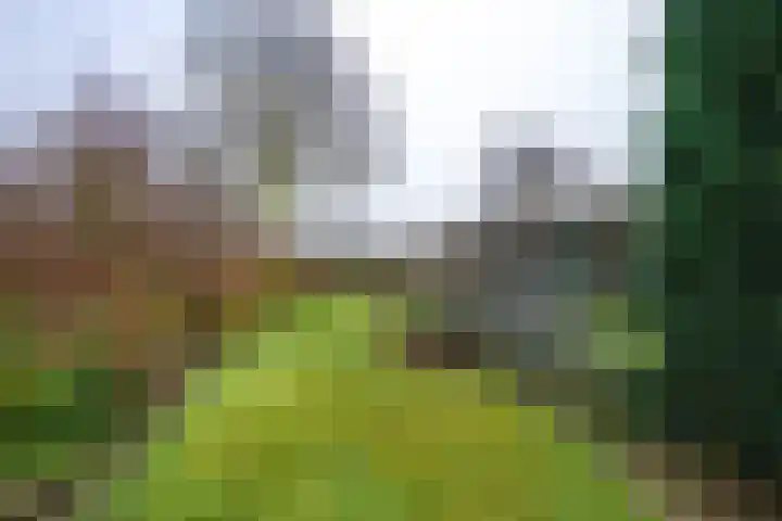 Lytse Buorren 5 Tzummarum thumbnail 11