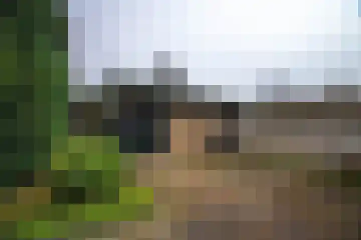 Lytse Buorren 5 Tzummarum thumbnail 12