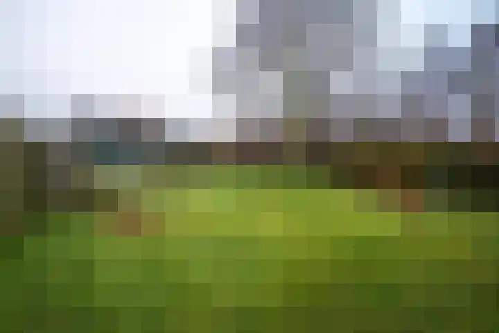 Lytse Buorren 5 Tzummarum thumbnail 13