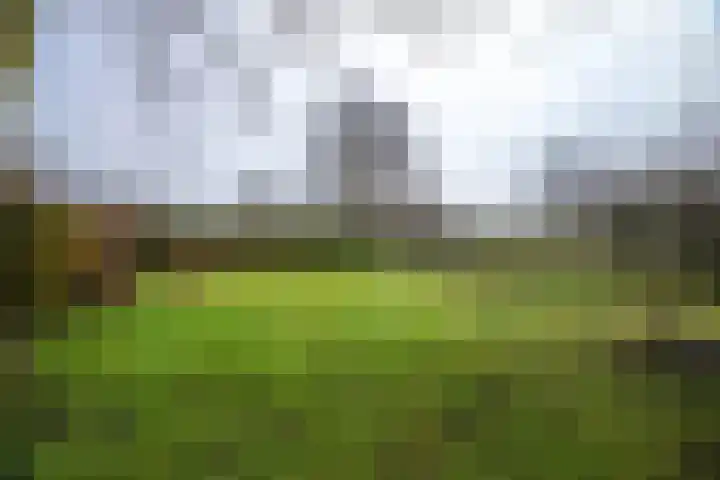 Lytse Buorren 5 Tzummarum thumbnail 14