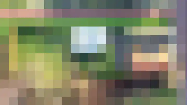 Lytse Buorren 5 Tzummarum thumbnail 15