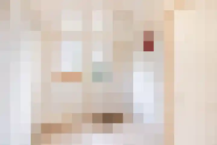 Lytse Buorren 5 Tzummarum thumbnail 24
