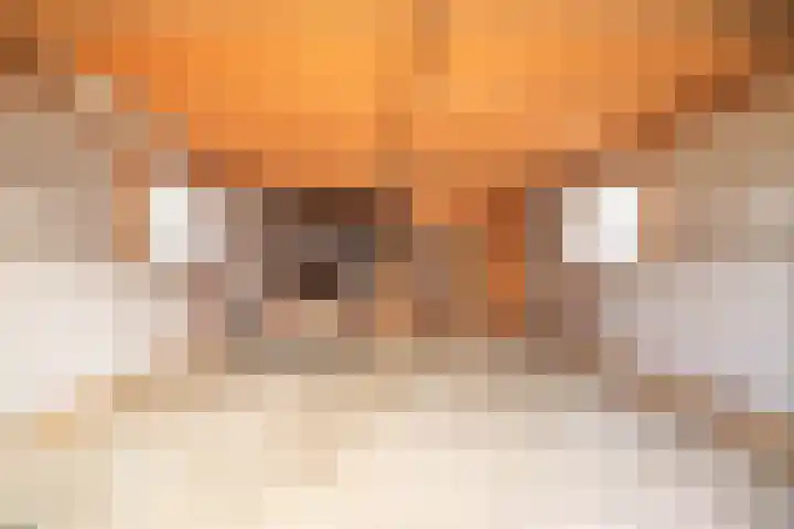Lytse Buorren 5 Tzummarum thumbnail 39