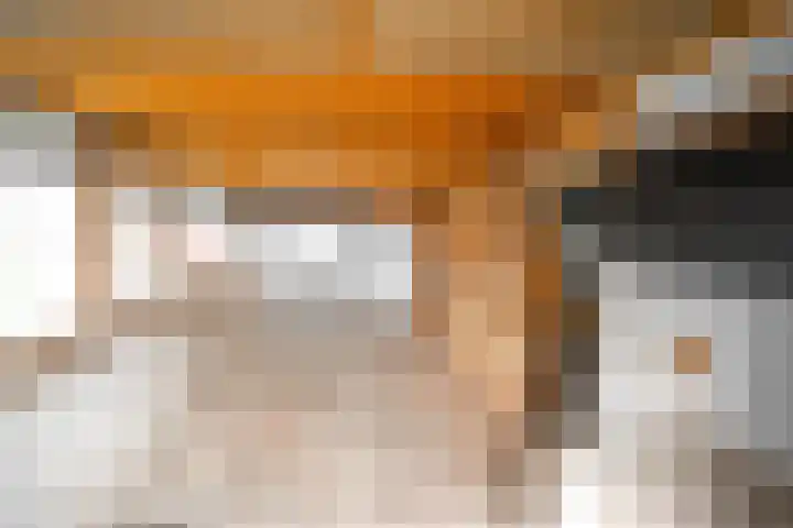 Lytse Buorren 5 Tzummarum thumbnail 41