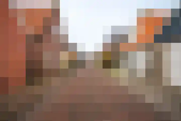 Lytse Buorren 5 Tzummarum thumbnail 6
