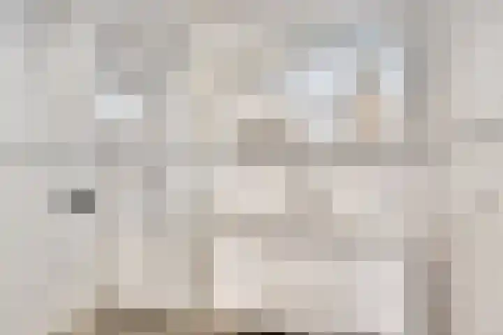 Lytse Buorren 5 Wjelsryp thumbnail 12