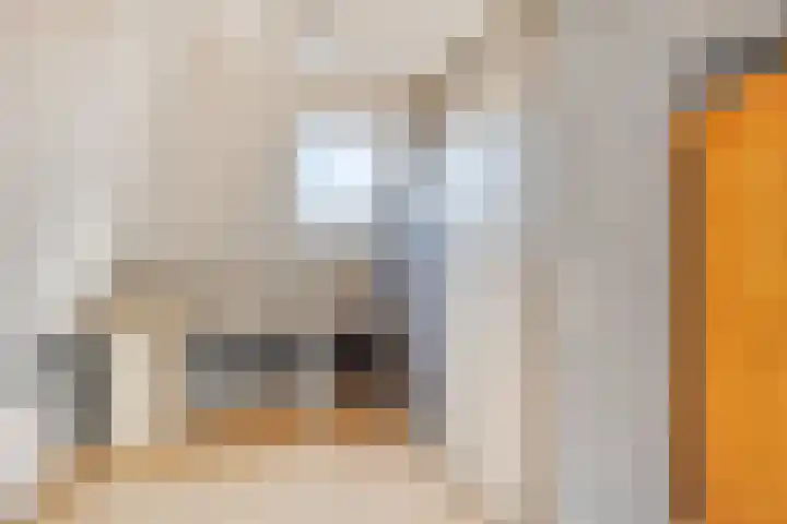 Lytse Buorren 5 Wjelsryp thumbnail 14