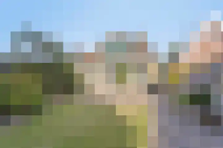 Lytse Buorren 5 Wjelsryp thumbnail 18