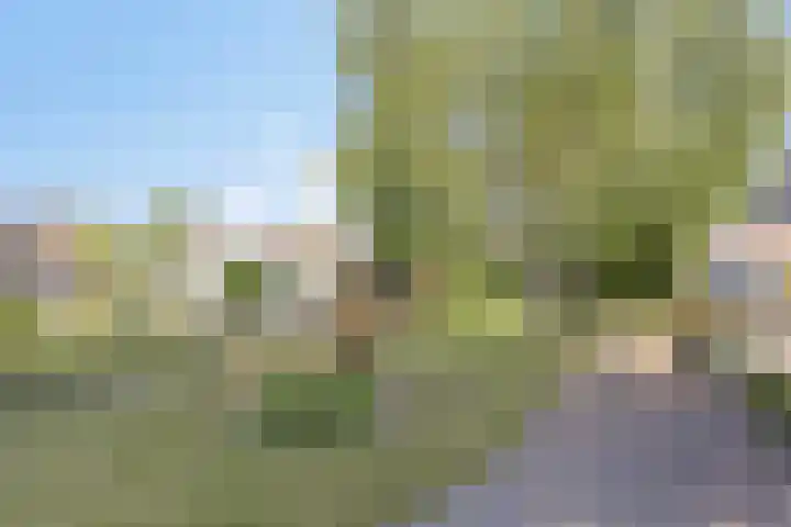 Lytse Buorren 5 Wjelsryp thumbnail 21