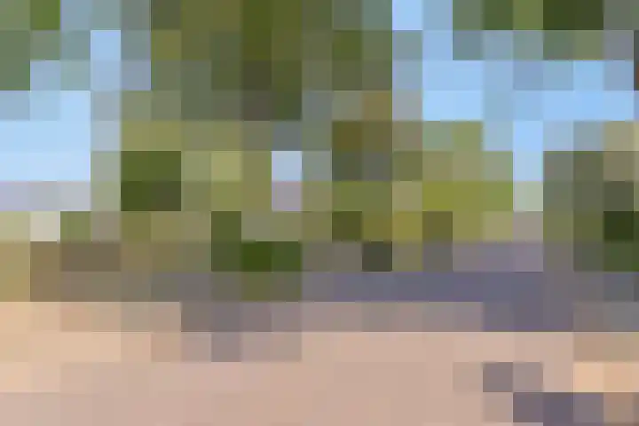 Lytse Buorren 5 Wjelsryp thumbnail 22