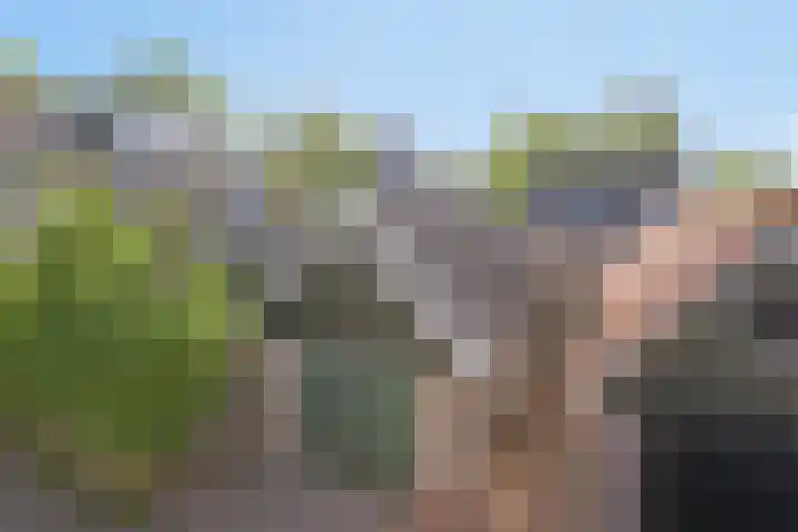 Lytse Buorren 5 Wjelsryp thumbnail 23