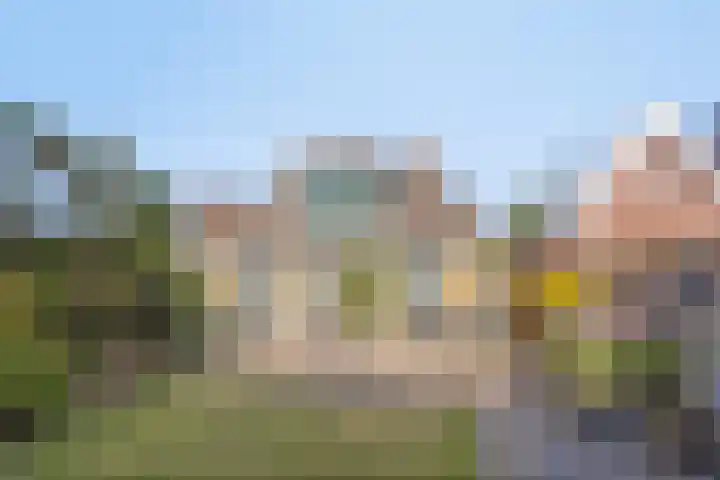 Lytse Buorren 5 Wjelsryp thumbnail 4