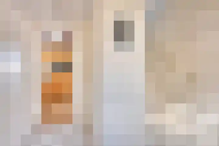 Lytse Buorren 5 Wjelsryp thumbnail 5
