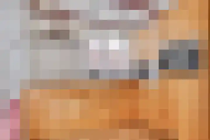 Lytse Buorren 5 Wjelsryp thumbnail 6