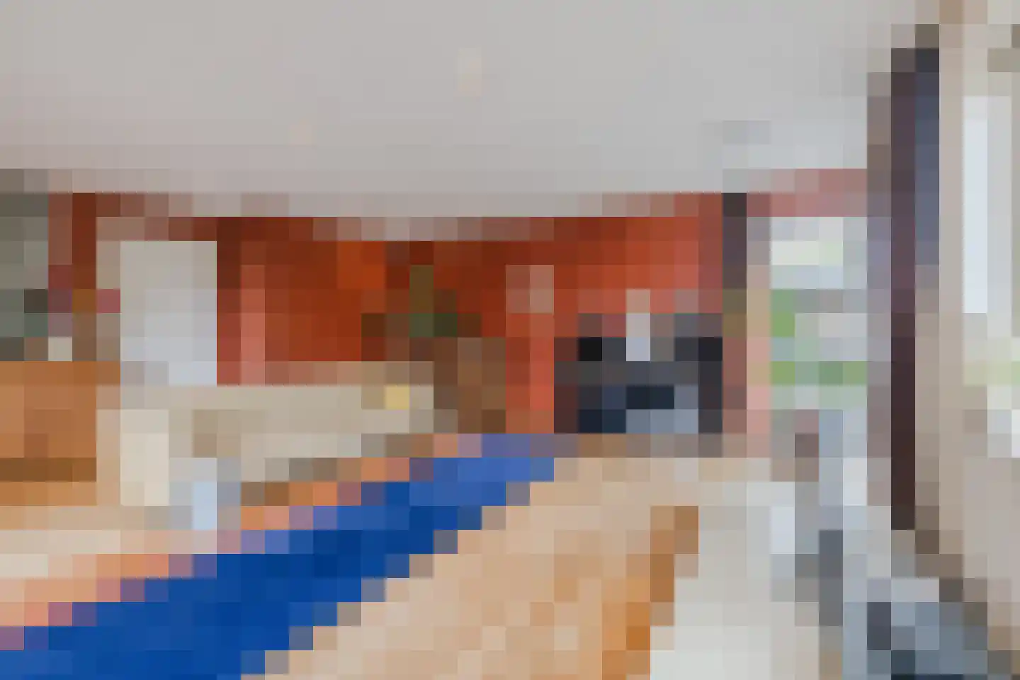 Lytse Dyk 13 Britsum thumbnail 22