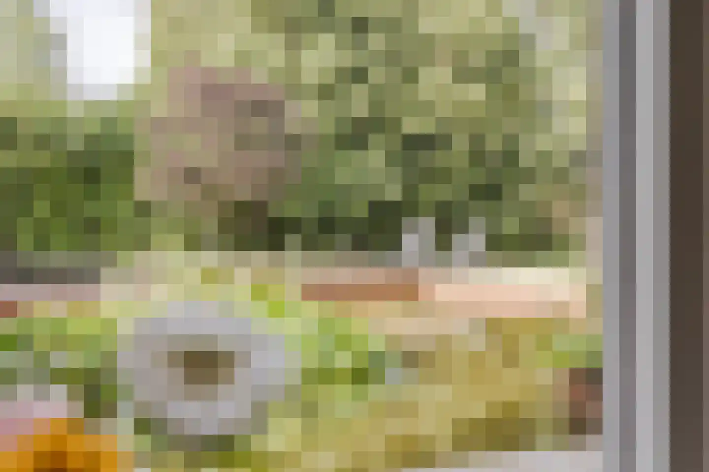 Lytse Dyk 13 Britsum thumbnail 24