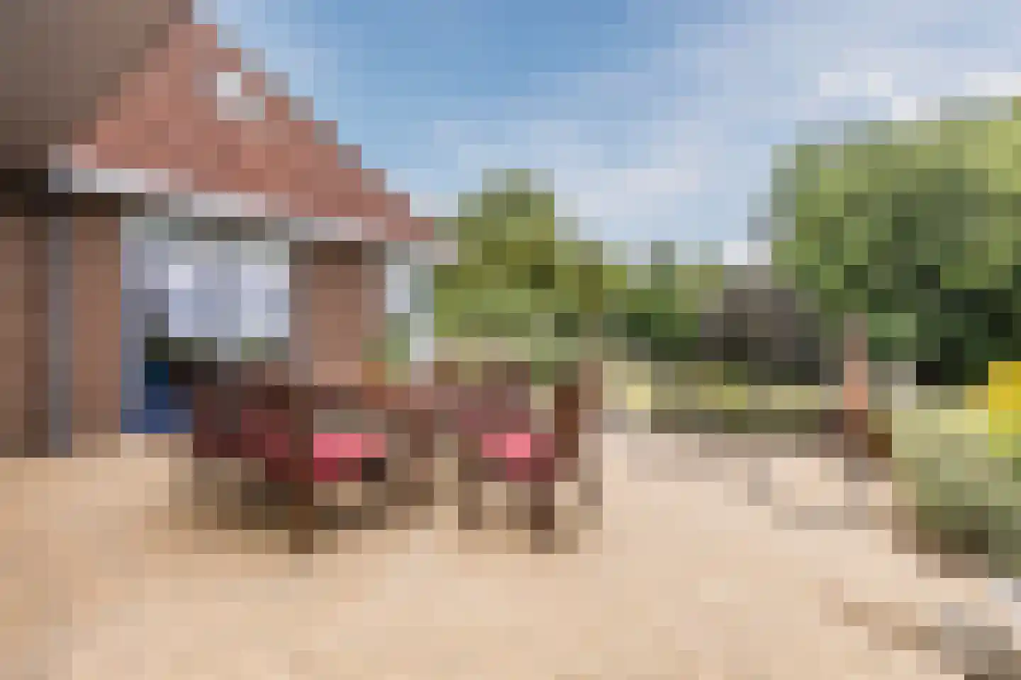Lytse Dyk 13 Britsum thumbnail 69