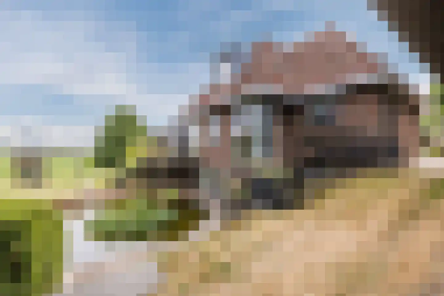 Lytse Dyk 13 Britsum thumbnail 74