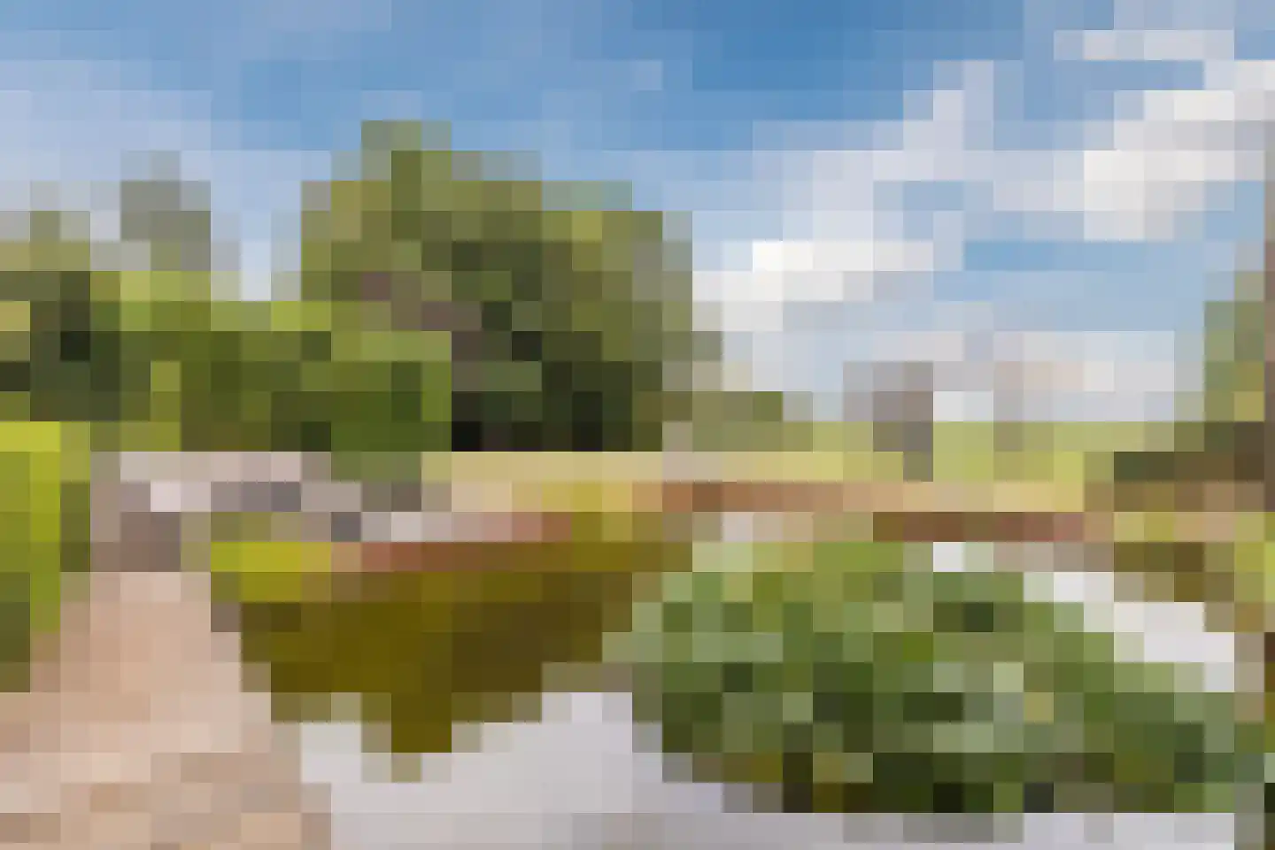 Lytse Dyk 13 Britsum thumbnail 75