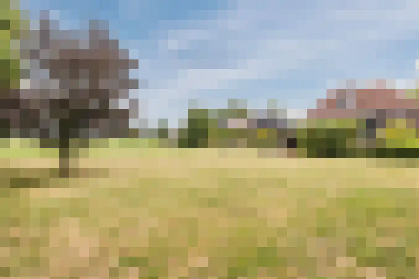 Lytse Dyk 13 Britsum thumbnail 82