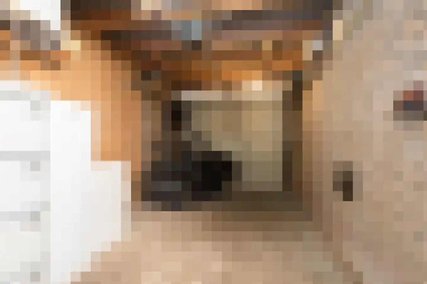 Lytse Dyk 14 Sneek thumbnail 14