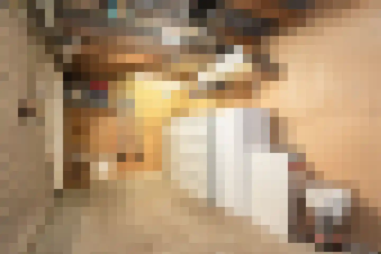 Lytse Dyk 14 Sneek thumbnail 15