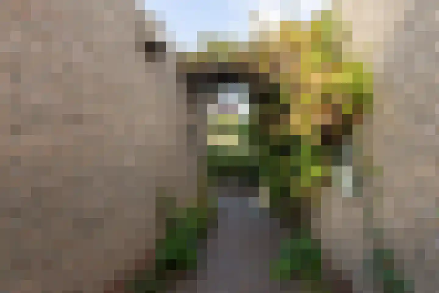 Lytse Dyk 14 Sneek thumbnail 39