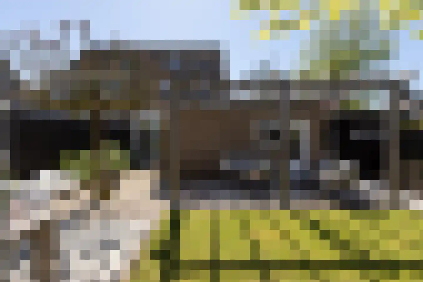 Lytse Dyk 16 Sneek thumbnail 38