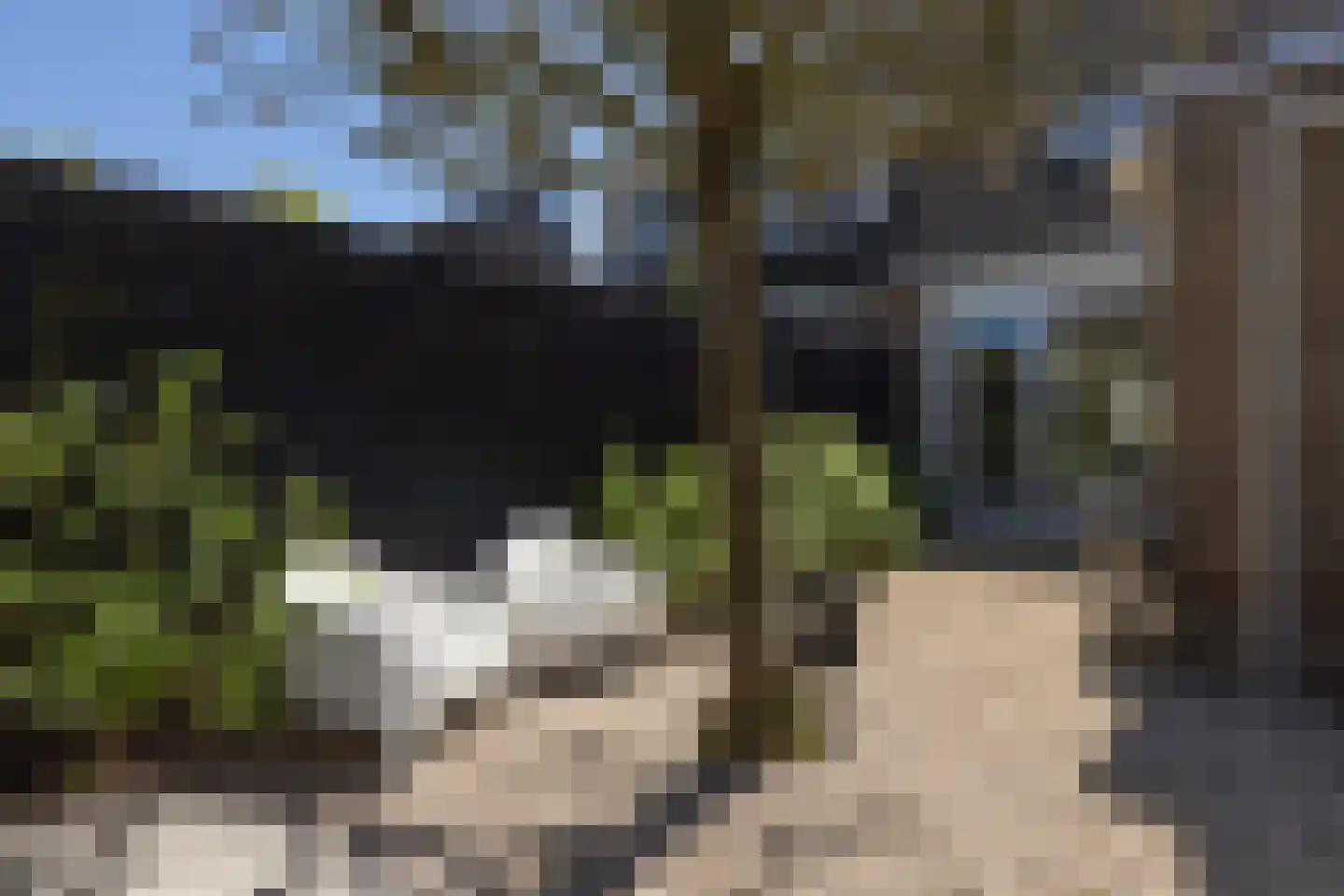 Lytse Dyk 16 Sneek thumbnail 42