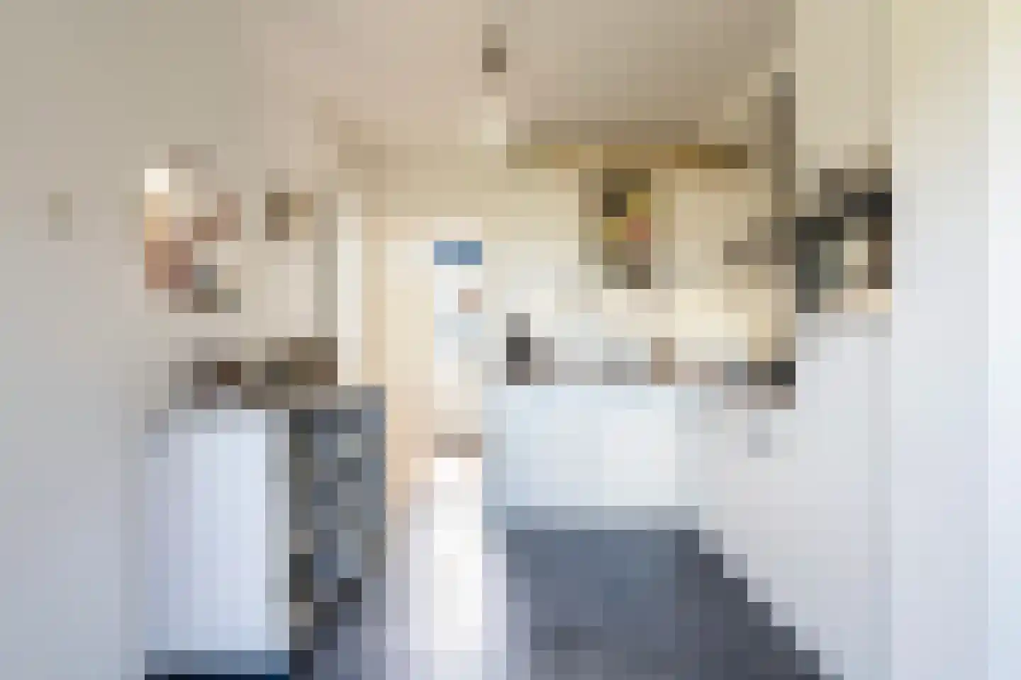 Lytse Dyk 3 Britsum foto 3