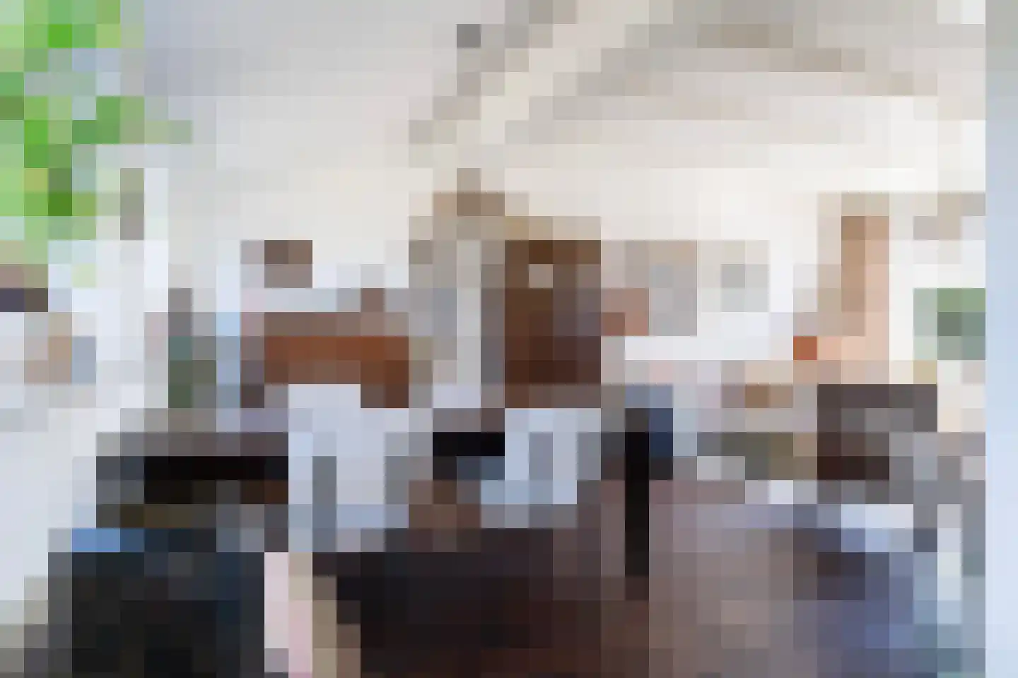 Lytse Dyk 3 Britsum thumbnail 8