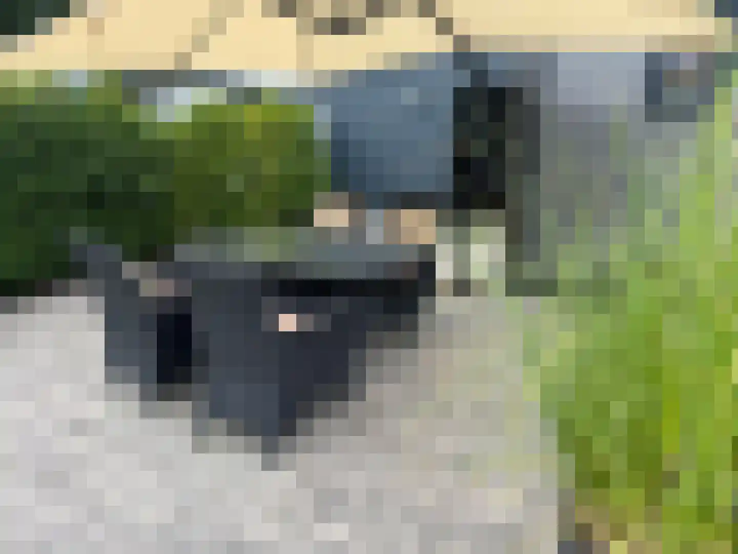 Lytse Jerden 1 L13 Sloten thumbnail 10