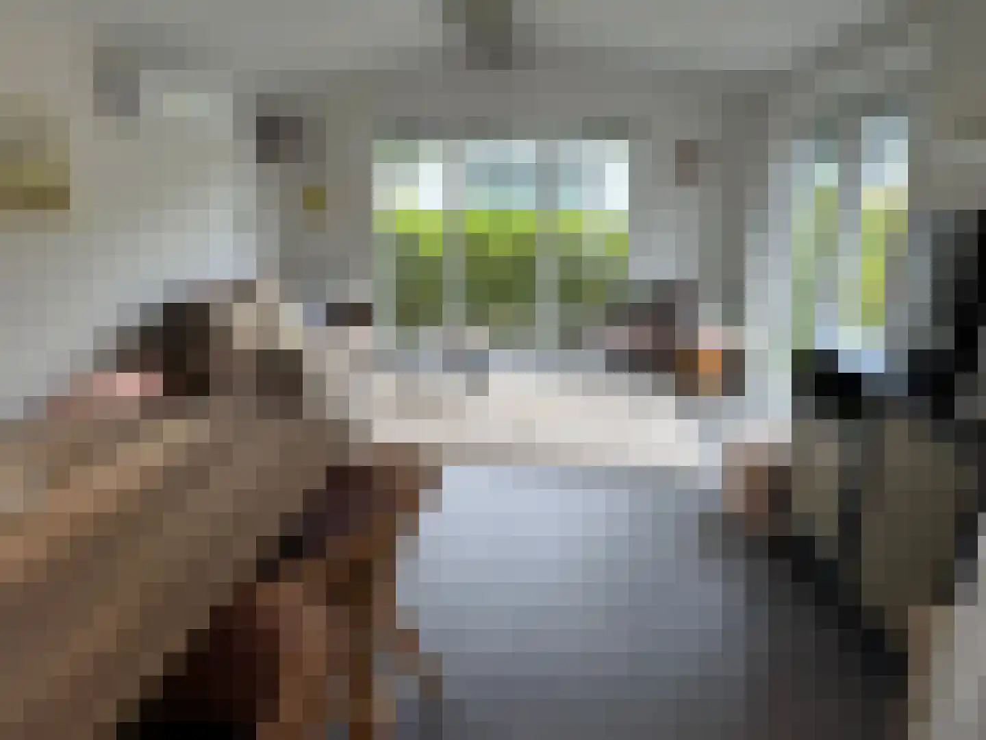 Lytse Jerden 1 L13 Sloten thumbnail 11