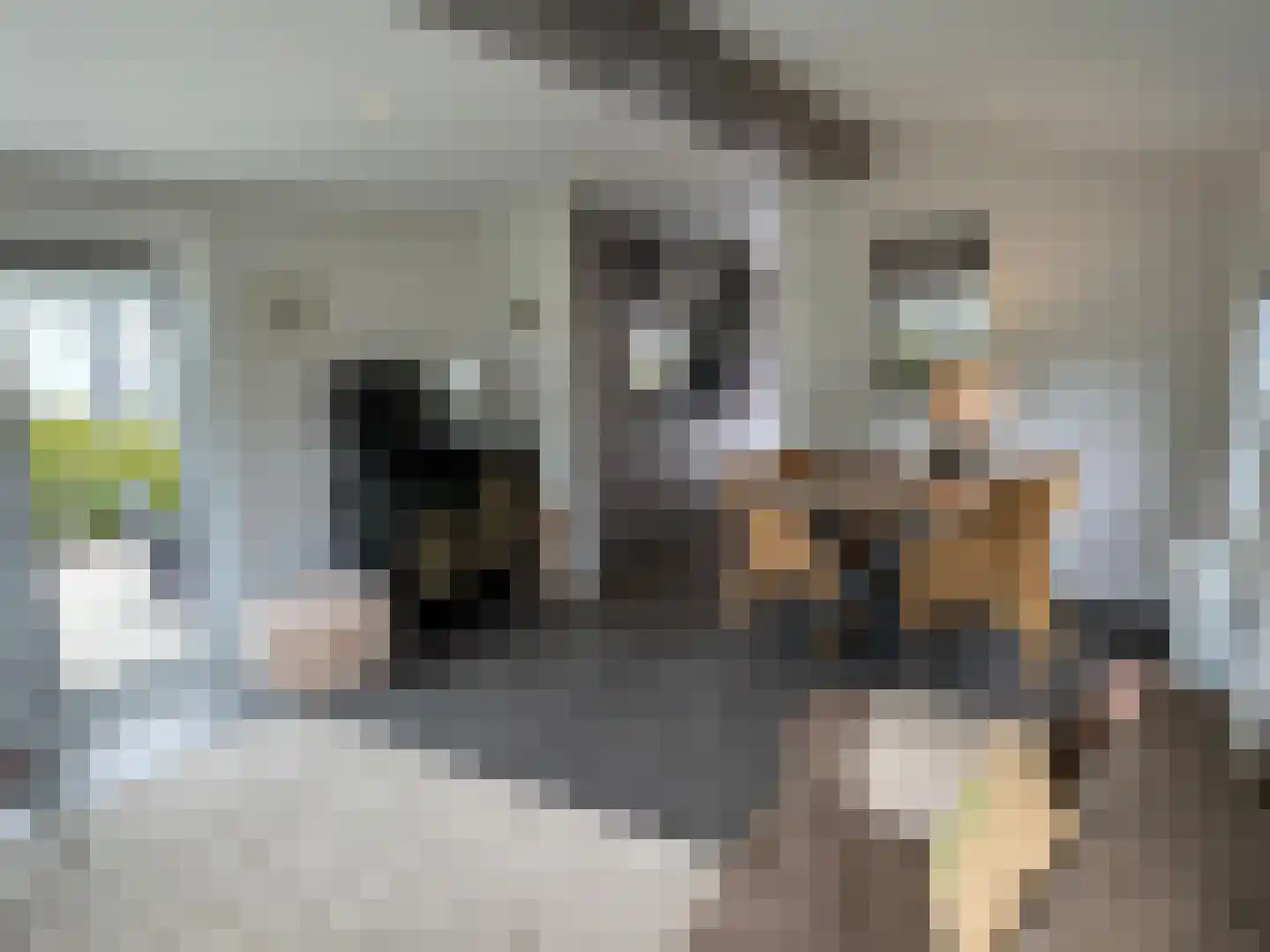 Lytse Jerden 1 L13 Sloten thumbnail 14