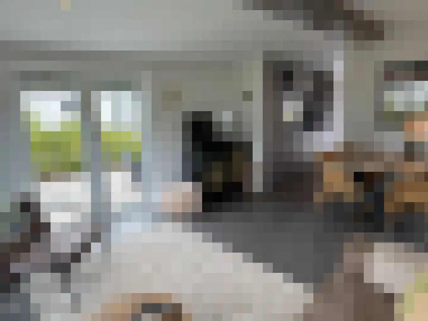 Lytse Jerden 1 L13 Sloten thumbnail 15