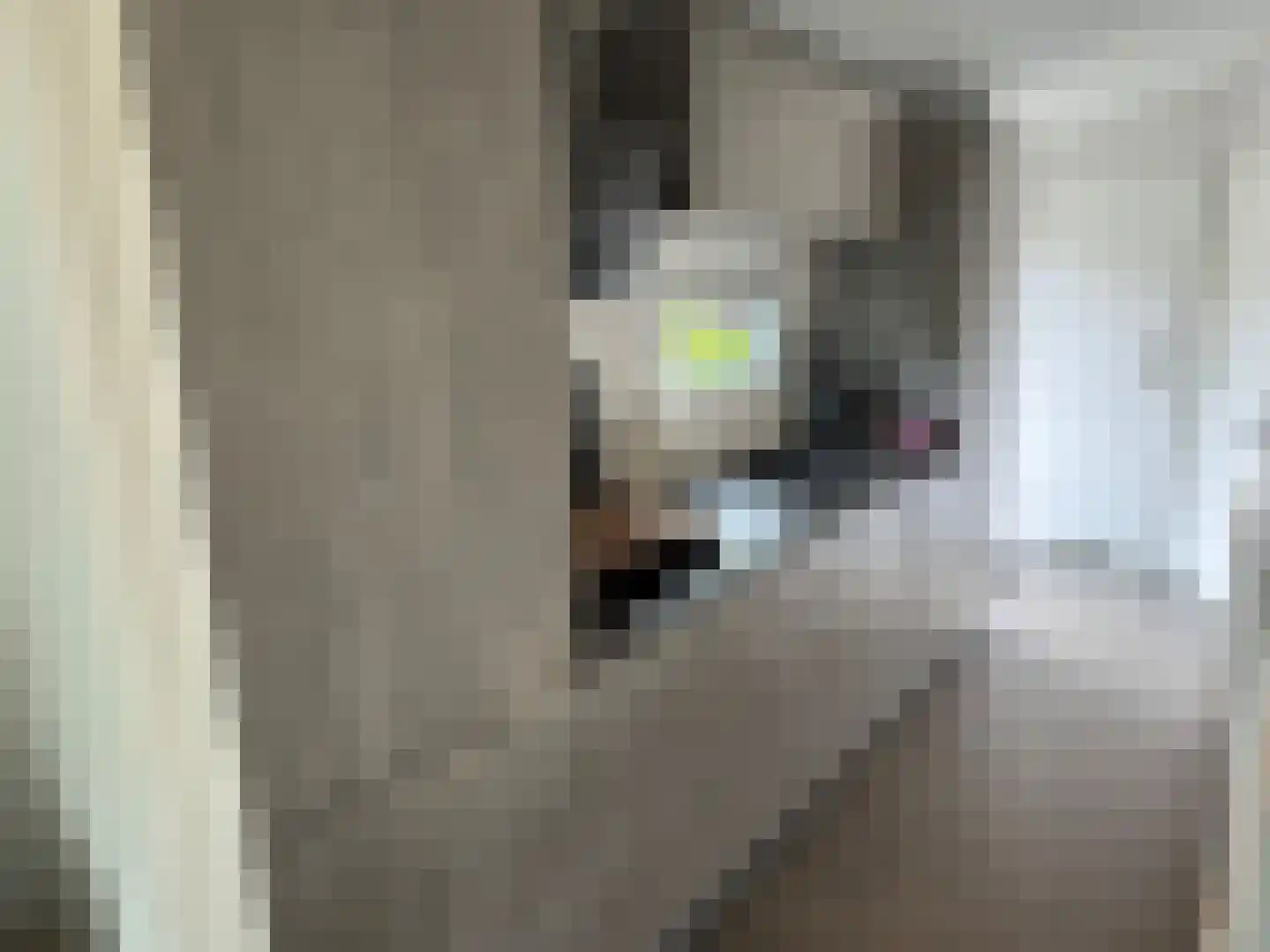 Lytse Jerden 1 L13 Sloten thumbnail 16