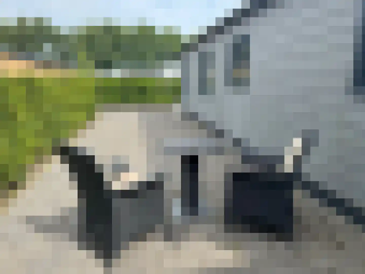Lytse Jerden 1 L13 Sloten foto 3