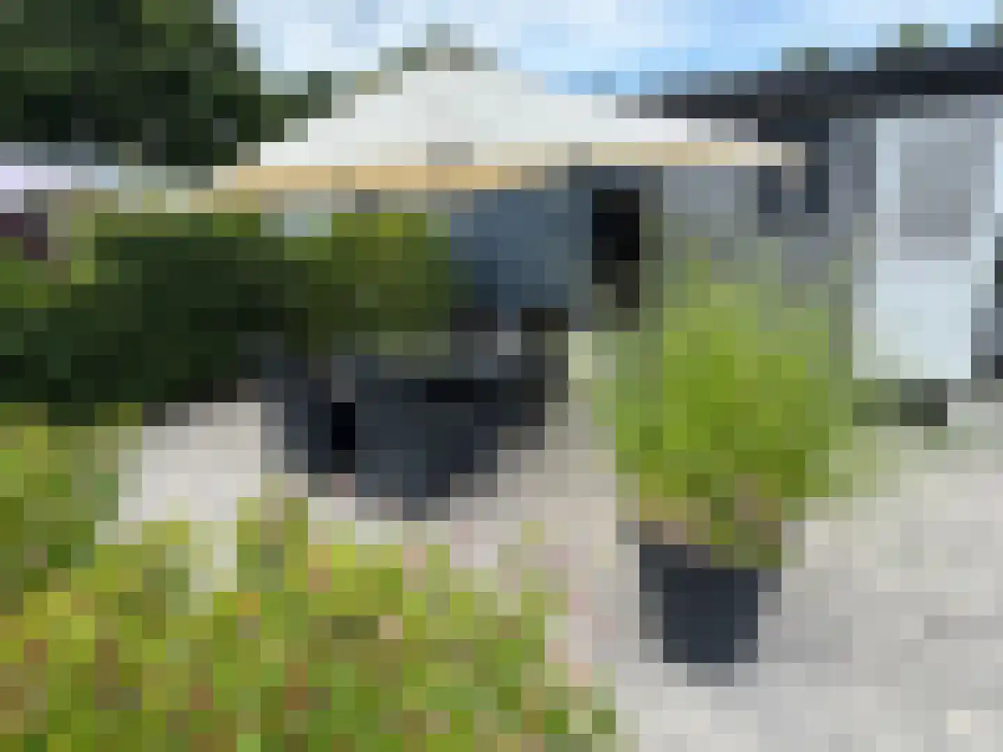 Lytse Jerden 1 L13 Sloten thumbnail 7