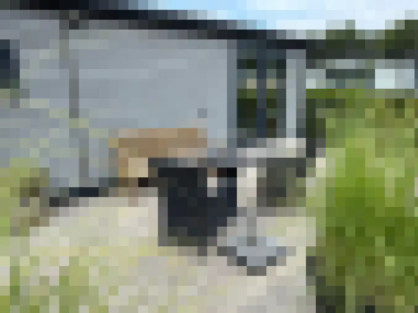 Lytse Jerden 1 L13 Sloten thumbnail 9
