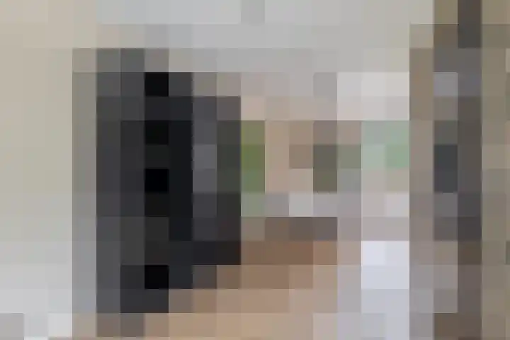 Lytse Leane 31 Frieschepalen thumbnail 11