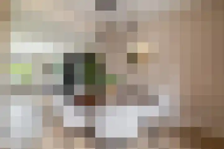 Lytse Leane 31 Frieschepalen thumbnail 12