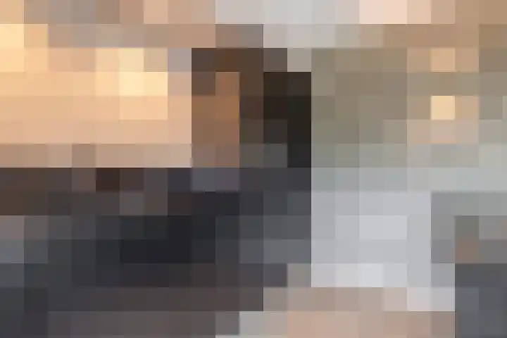 Lytse Leane 31 Frieschepalen thumbnail 15