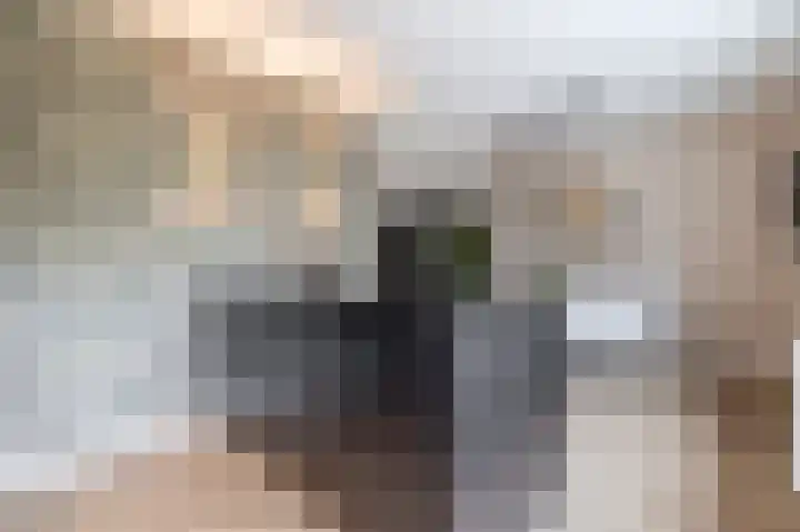 Lytse Leane 31 Frieschepalen thumbnail 17