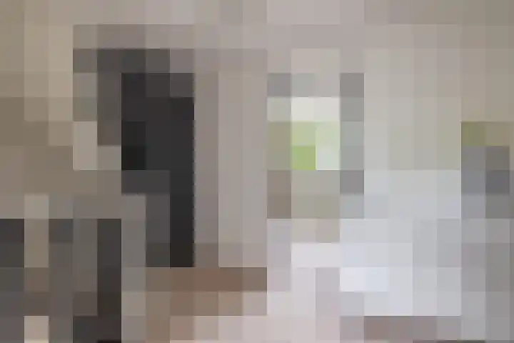 Lytse Leane 31 Frieschepalen thumbnail 21
